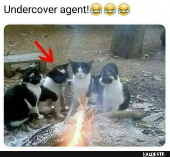 Undercover agent!