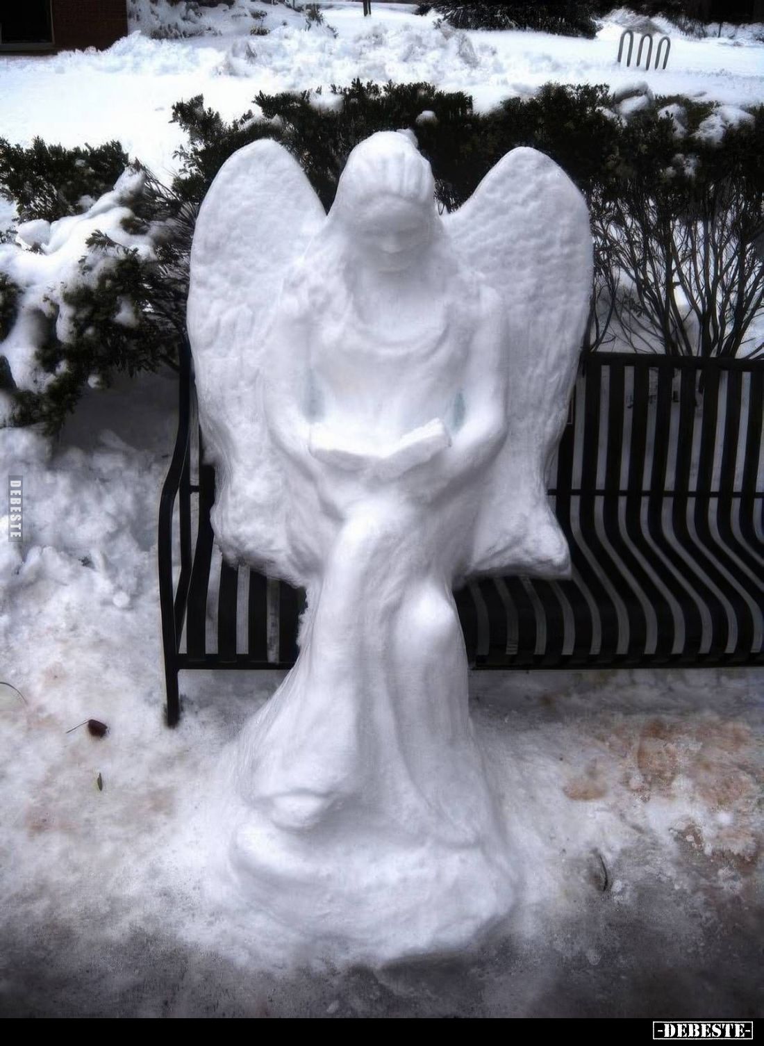  - Lustige Bilder | DEBESTE.de