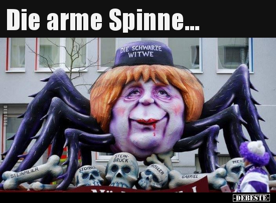 Die arme Spinne... - Lustige Bilder | DEBESTE.de