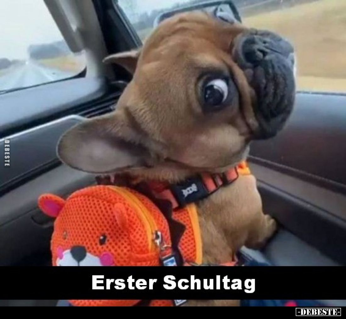 Erster Schultag