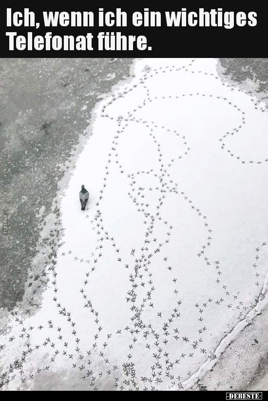 Ich, wenn ich ein wichtiges Telefonat führe...