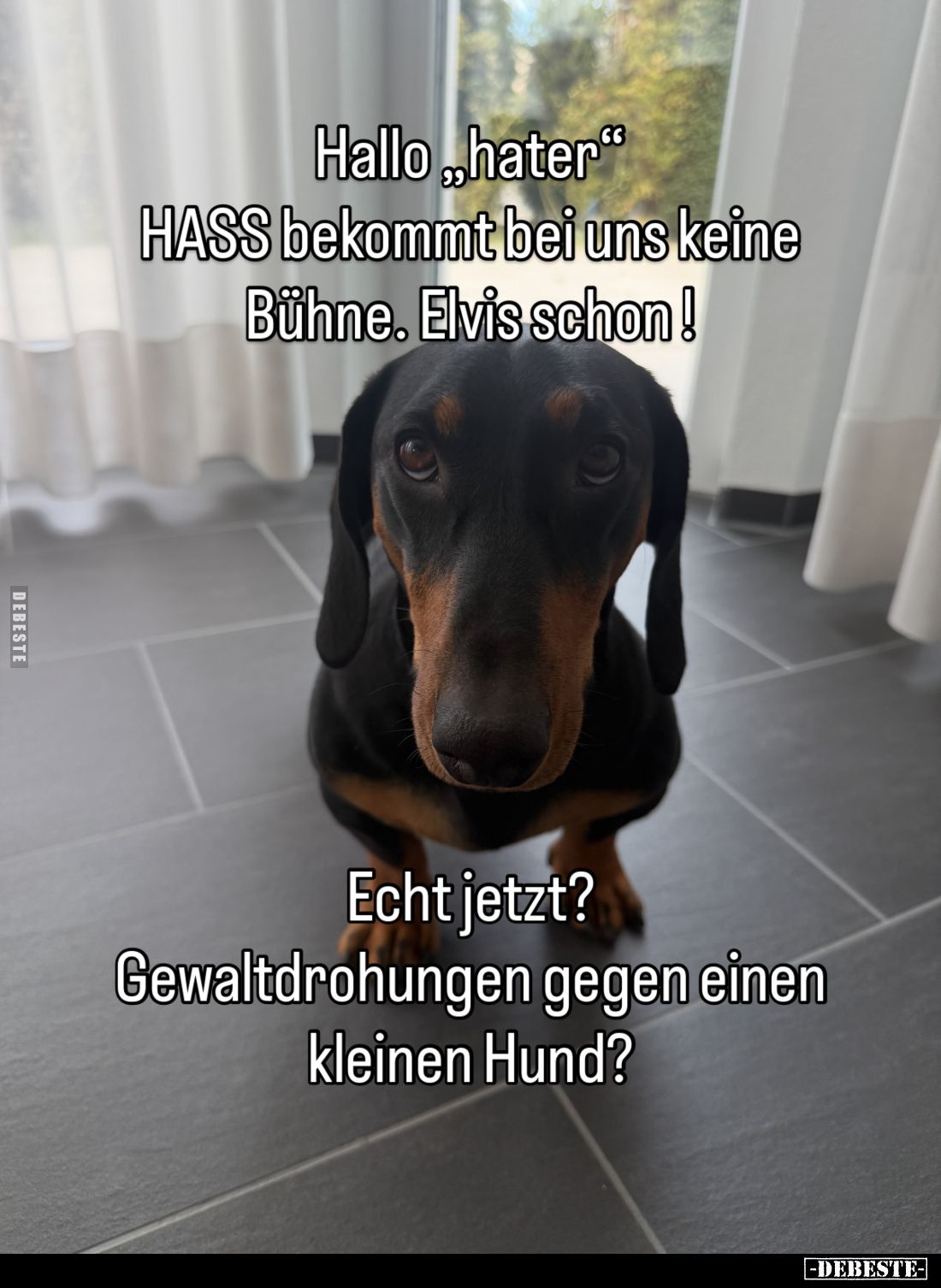 Hallo "hater".
Hass bekommt bei uns keine Bühne. Elvis schon!
Echt jetzt?
Gewaltdrohungen gegen einen kleinen Hu...