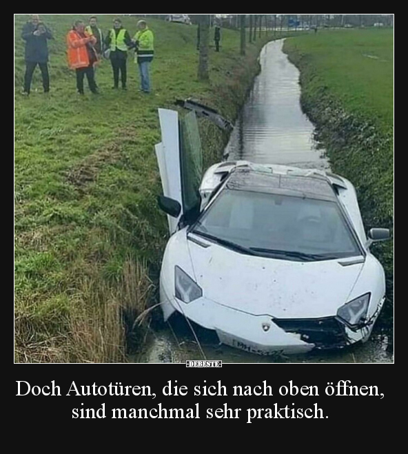 Doch Autotüren, die sich nach oben öffnen, sind manchmal.. - Lustige Bilder | DEBESTE.de