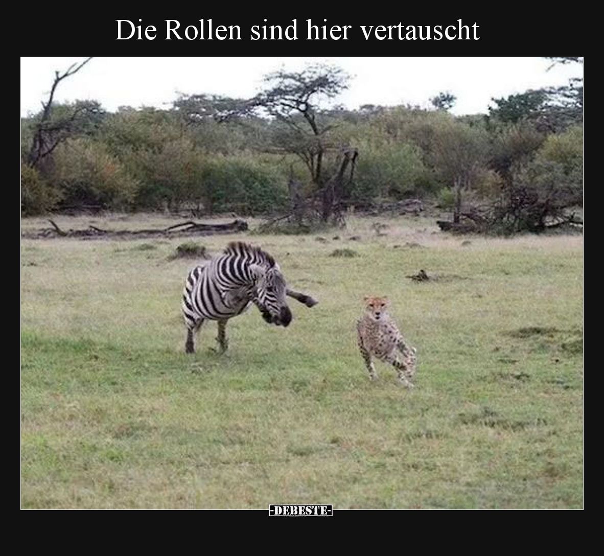 Die Rollen sind hier vertauscht