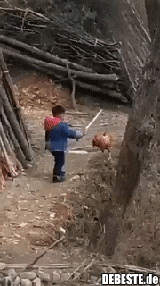 Killer Huhn gewinnt immer.