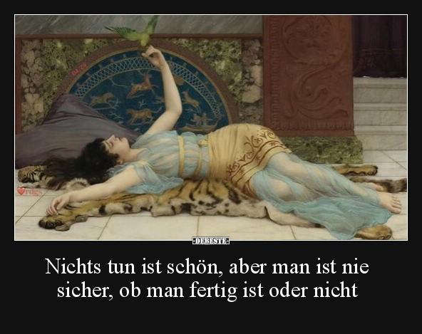 Nichts tun ist schön, aber man ist nie sicher, ob man.. - Lustige Bilder | DEBESTE.de