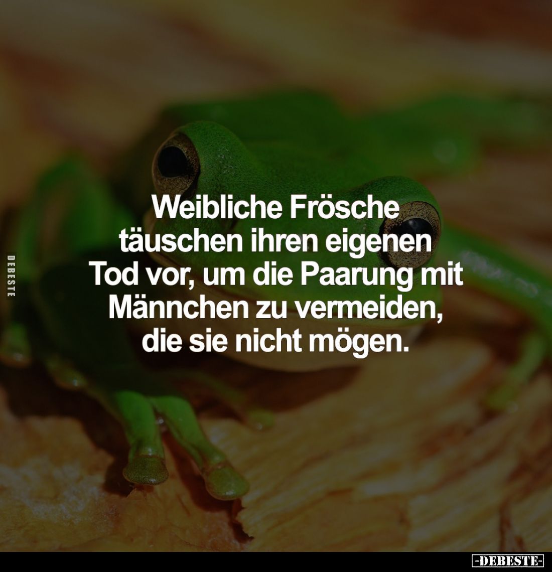 Weibliche Frösche täuschen ihren eigenen Tod vor, um die Paarung mit Männchen zu vermeiden, die sie nicht mögen.