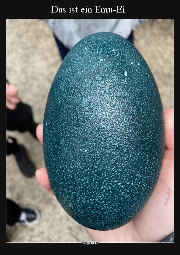 Das ist ein Emu-Ei