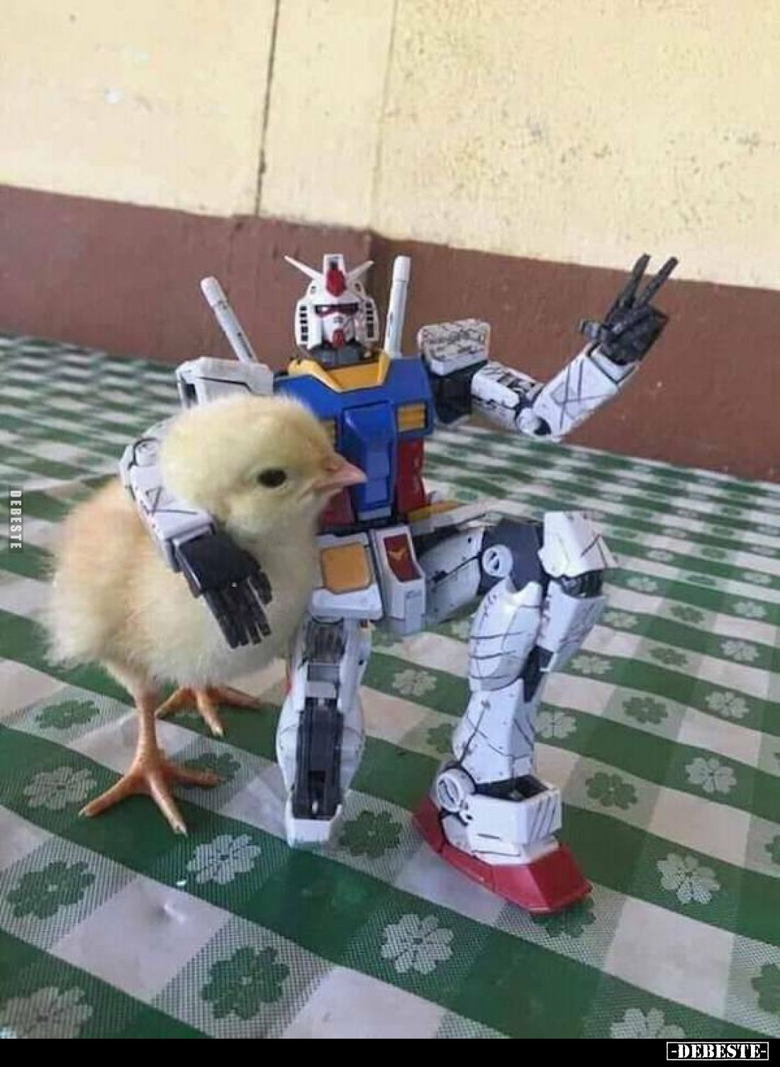  - Lustige Bilder | DEBESTE.de