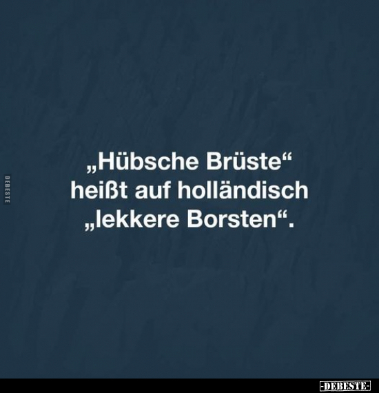 "Hübsche Brüste" heißt auf holländisch "lekkere Borsten". - Lustige Bilder | DEBESTE.de