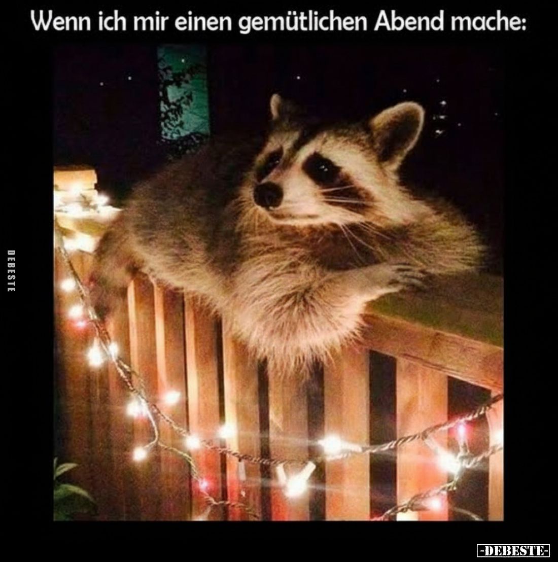 Wenn ich mir einen gemütlichen Abend mache.. - Lustige Bilder | DEBESTE.de
