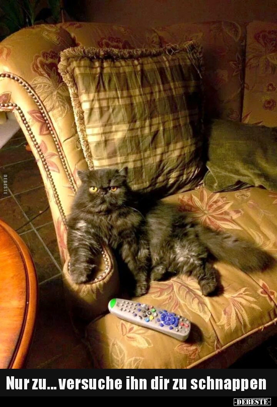 Nur zu... versuche ihn dir zu schnappen..