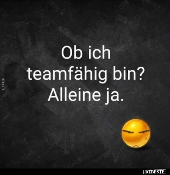 Ob ich teamfähig bin? Alleine ja...