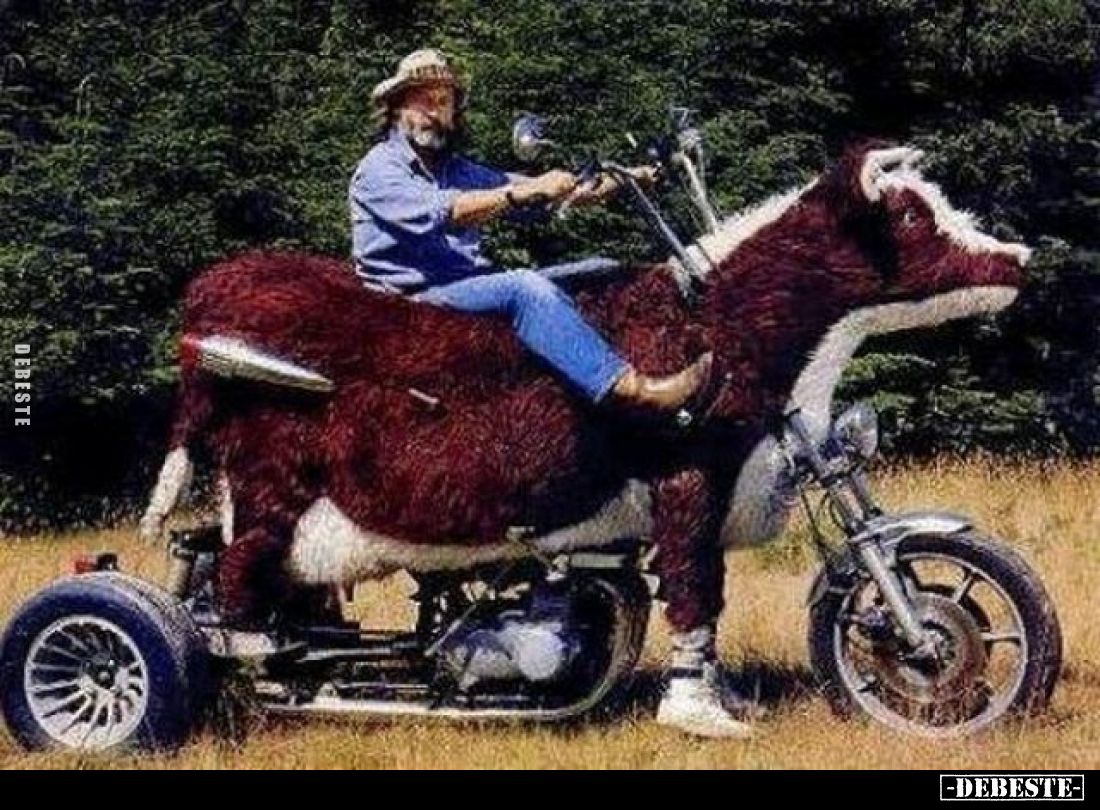  - Lustige Bilder | DEBESTE.de