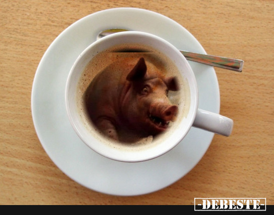  - Lustige Bilder | DEBESTE.de