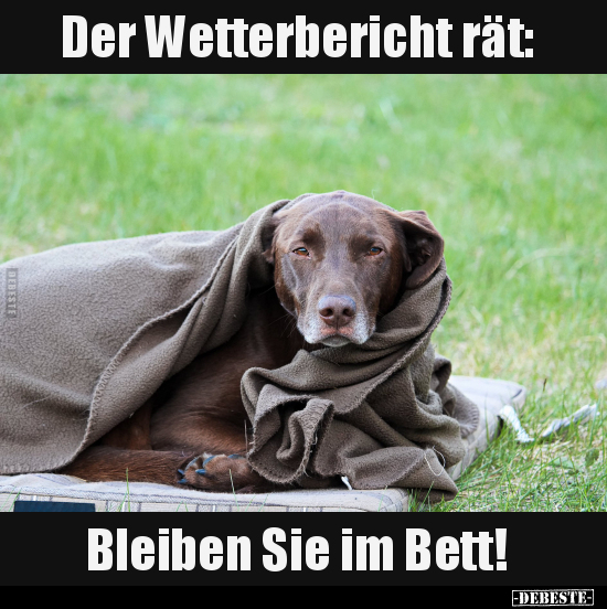 Der Wetterbericht rät.. - Lustige Bilder | DEBESTE.de