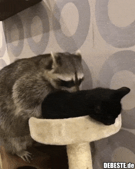 Da pass ich auch noch drauf..