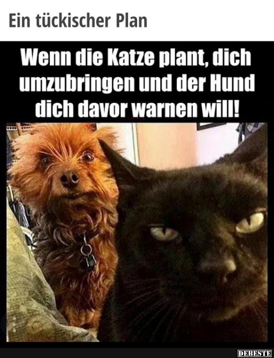 Ein tückischer Plan.. - Lustige Bilder | DEBESTE.de
