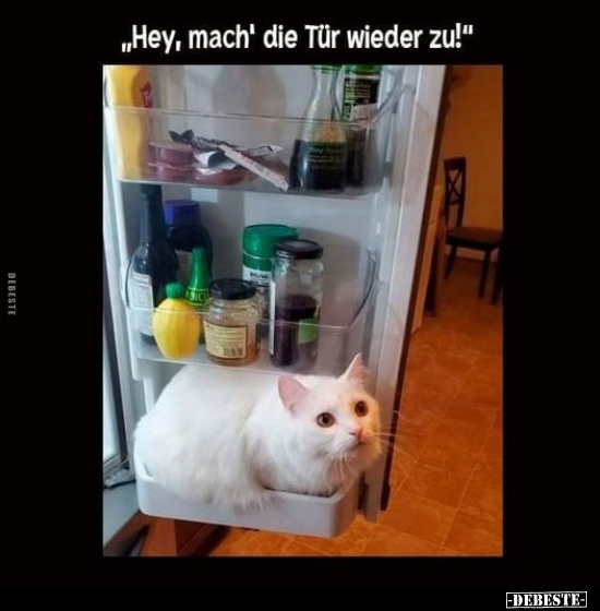 "Hey, mach' die Tür wieder zu!"