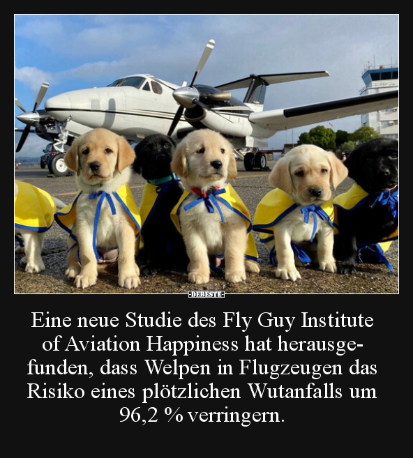 Eine neue Studie des Fly Guy Institute of Aviation.. - Lustige Bilder | DEBESTE.de