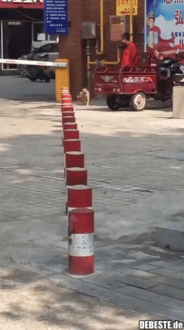  - Lustige Bilder | DEBESTE.de