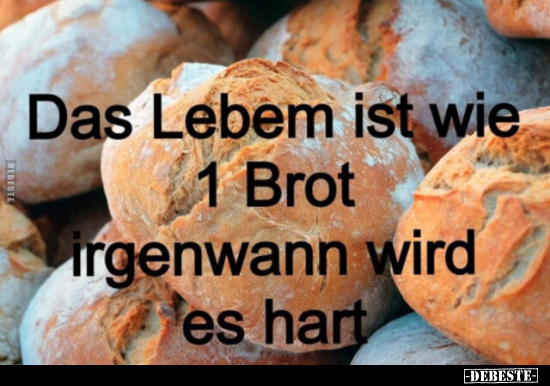 Brot