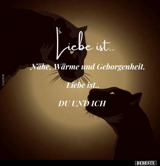 Liebe ist.. Nähe, Wärme und Geborgenheit.. - Lustige Bilder | DEBESTE.de