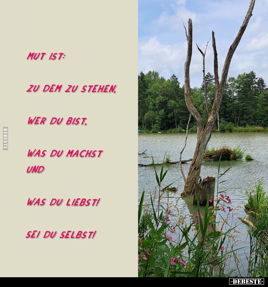 Mut ist:
zu dem zu stehen,
wer du bist,
was du machst und
was du liebst!
Sei du selbst!