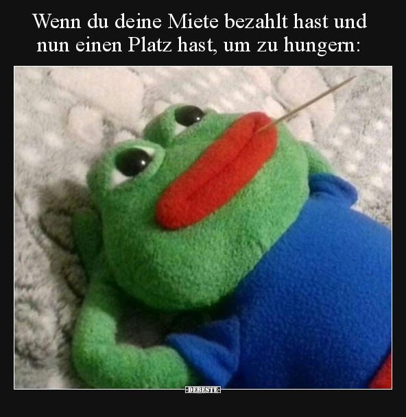 Wenn du deine Miete bezahlt hast und nun einen Platz hast.. - Lustige Bilder | DEBESTE.de