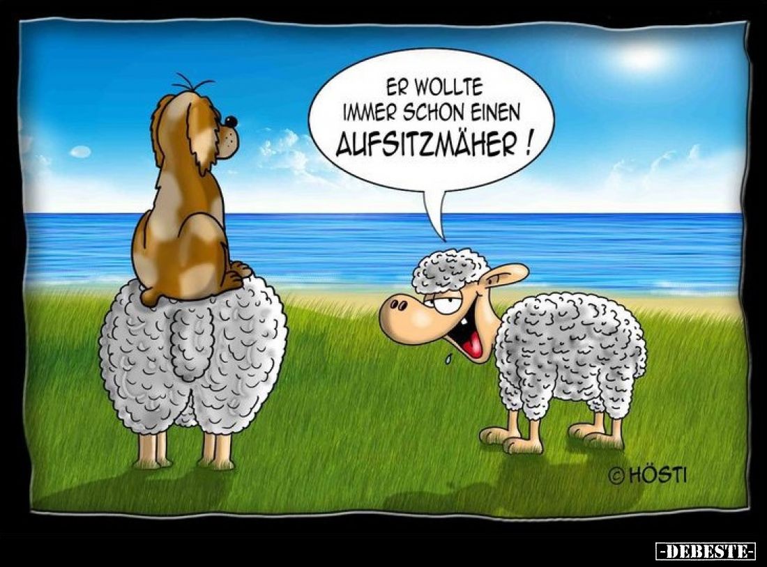 Er wollte immer schon einen Aufsitzmäher!