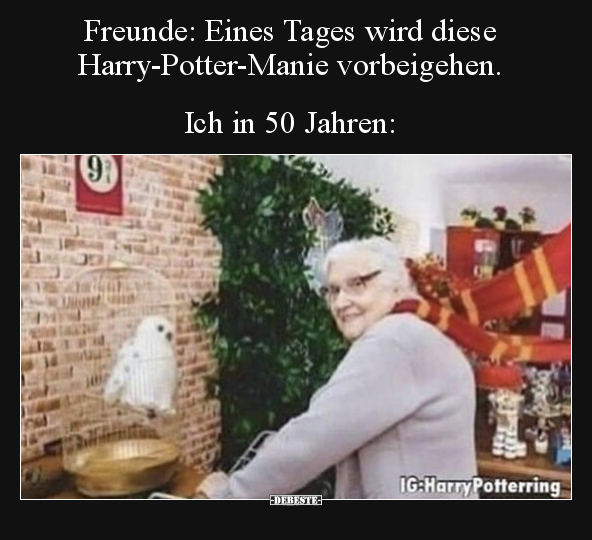 Freunde: Eines Tages wird diese Harry-Potter-Manie.. - Lustige Bilder | DEBESTE.de