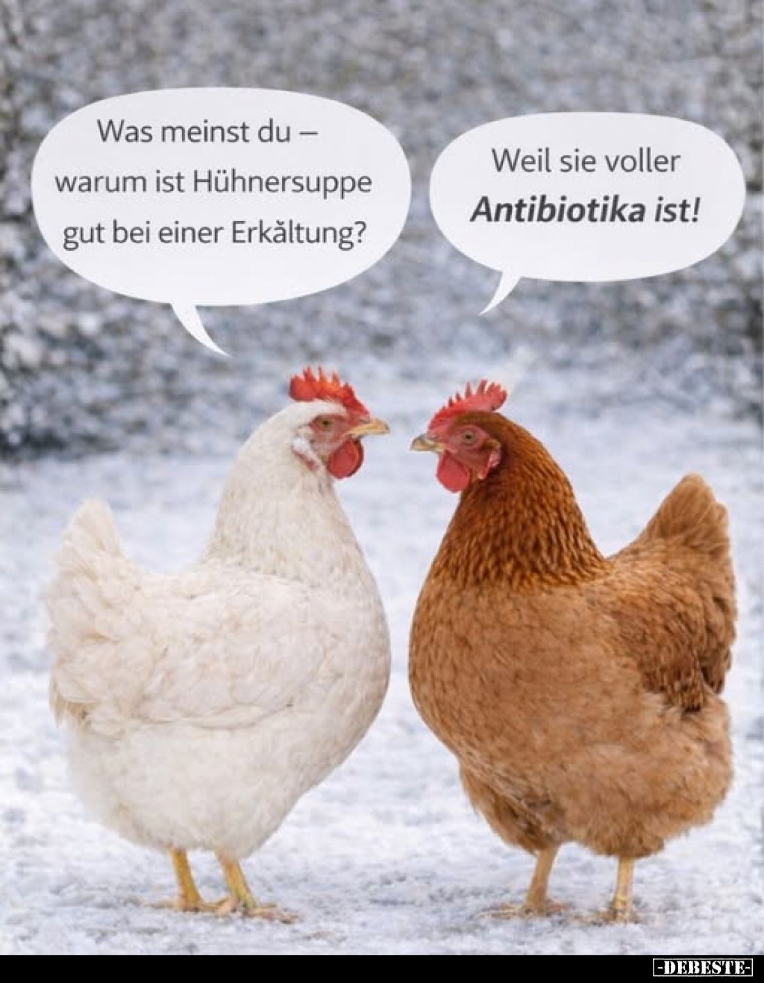 Was meinst du - warum ist Hühnersuppe gut bei einer Erkältung?
-
Weil sie voller Antibiotika ist!