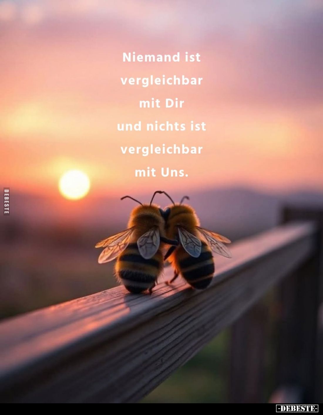 Niemand ist vergleichbar mit Dir und nichts ist vergleichbar mit Uns.