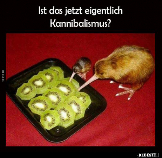 Ist das jetzt eigentlich Kannibalismus?.. - Lustige Bilder | DEBESTE.de
