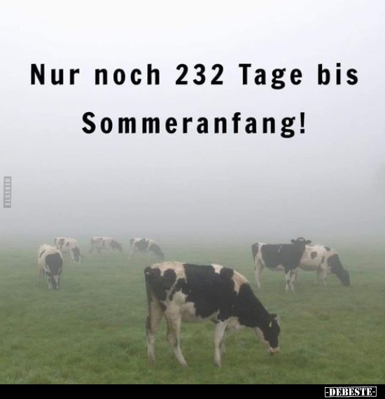 Nur noch 232 Tage bis Sommeranfang!.. - Lustige Bilder | DEBESTE.de