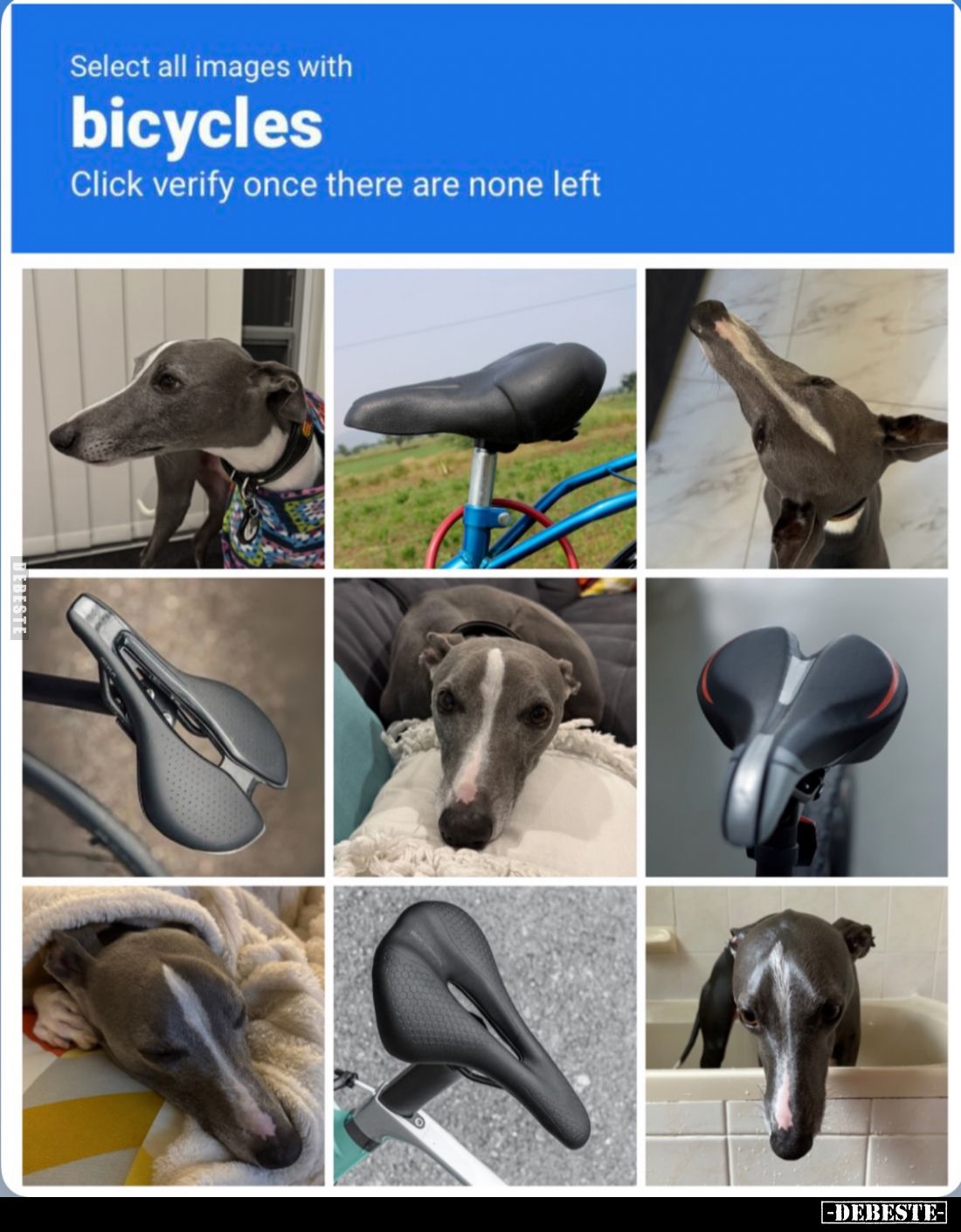Select all images with bicycles