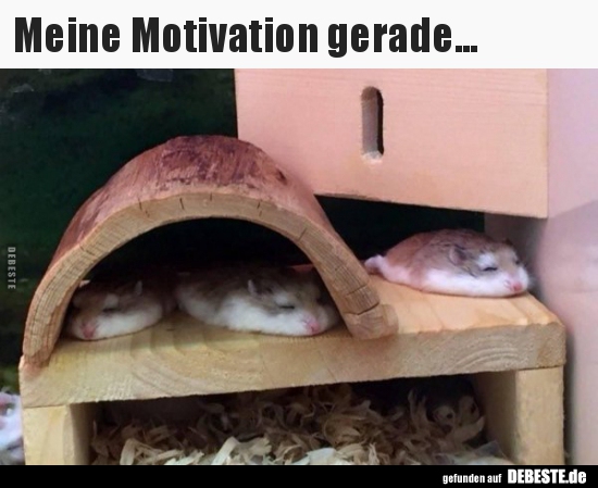 Meine Motivation gerade...