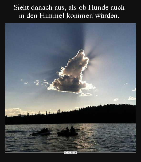 31+ Sprueche in den himmel info