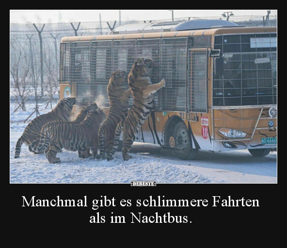 Manchmal gibt es schlimmere Fahrten als im Nachtbus... - Lustige Bilder | DEBESTE.de