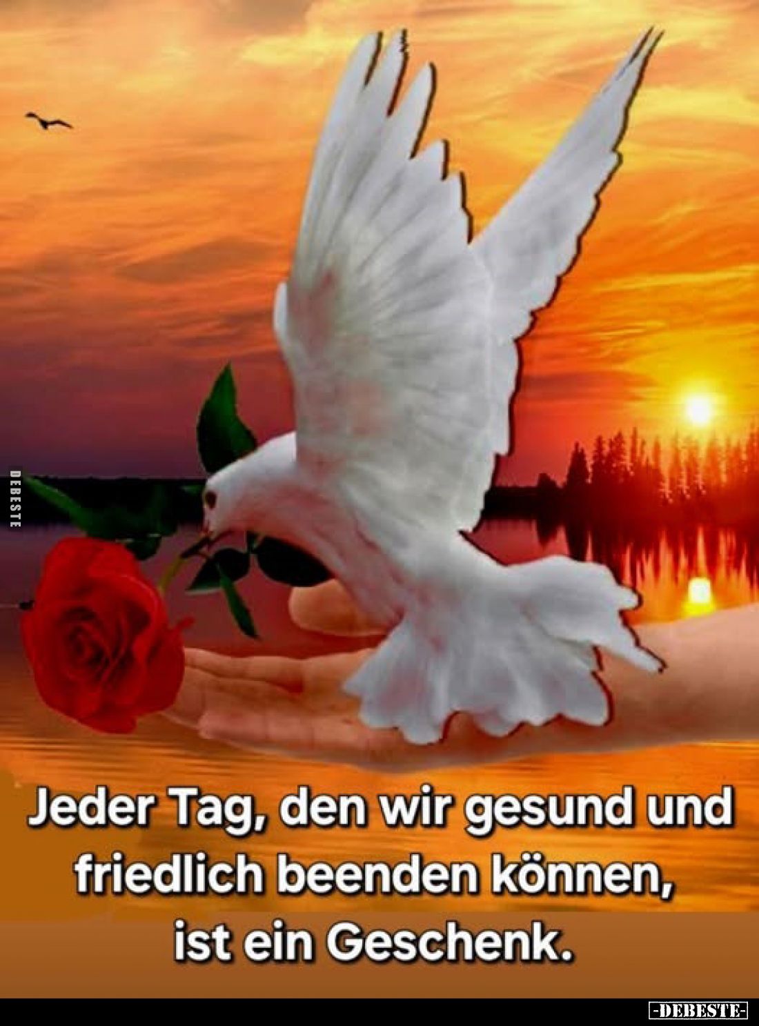 Jeder Tag, den wir gesund und friedlich beenden können, ist ein Geschenk.