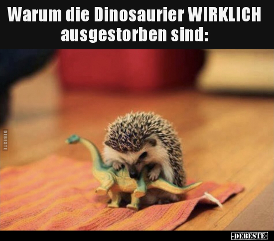 Warum die Dinosaurier WIRKLICH ausgestorben sind.. - Lustige Bilder | DEBESTE.de
