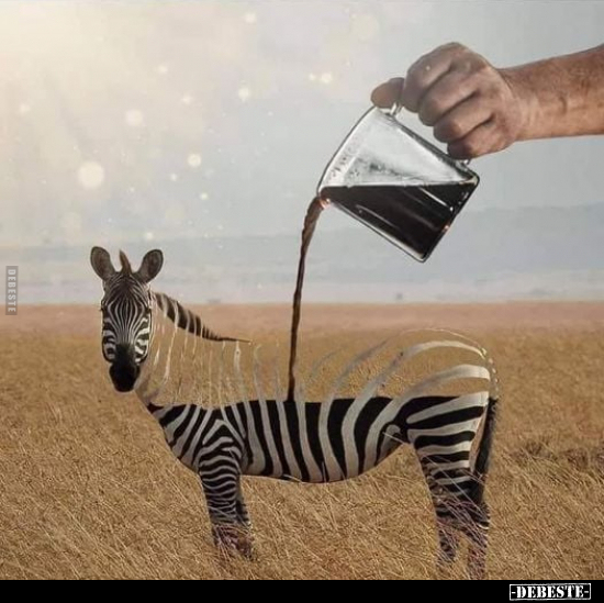  - Lustige Bilder | DEBESTE.de