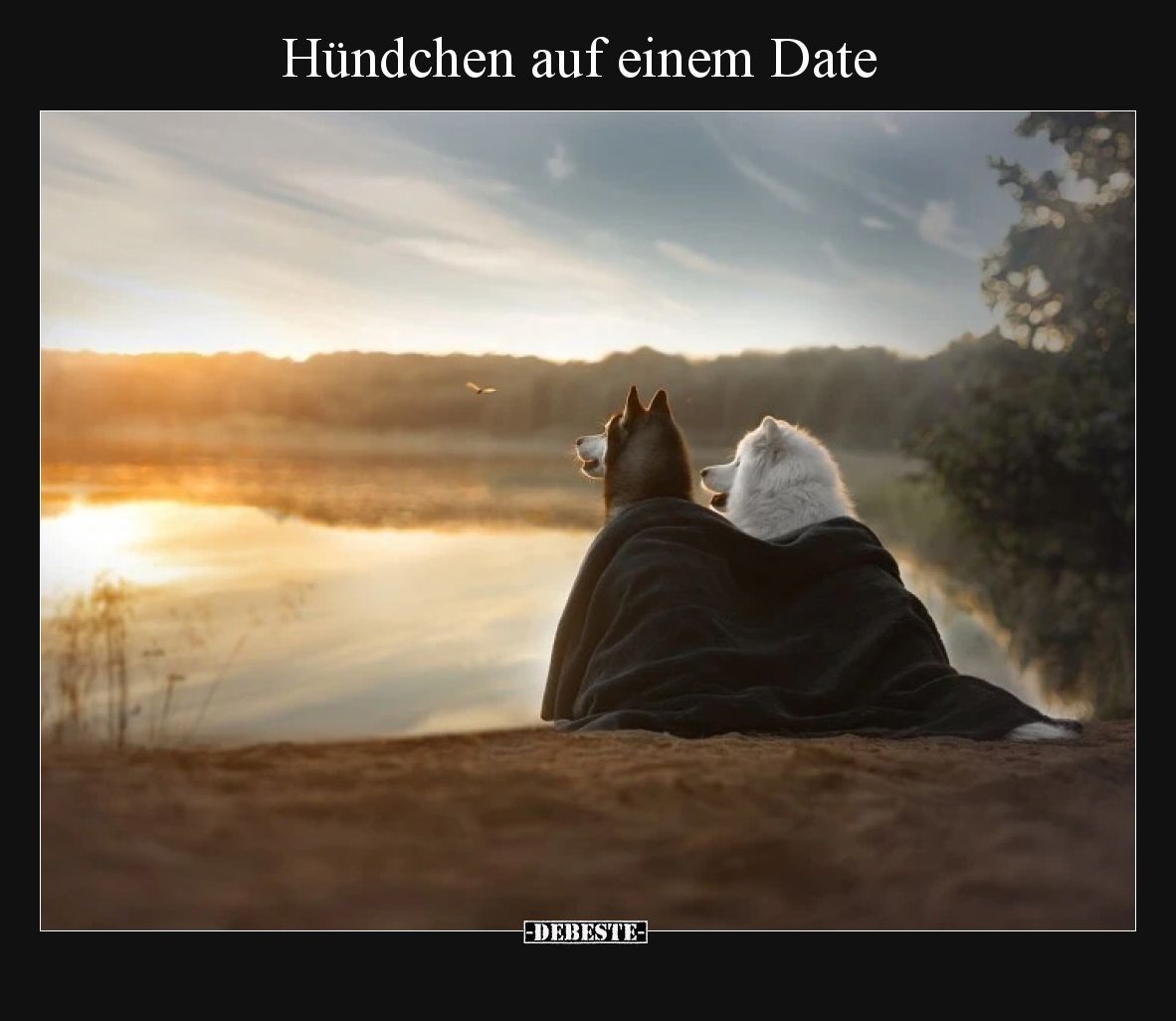 Hündchen auf einem Date