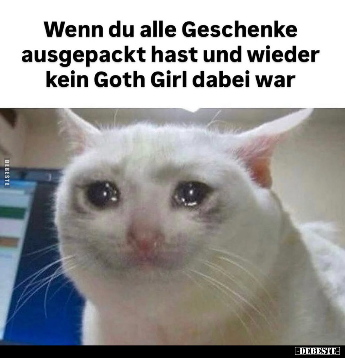 Wenn du alle Geschenke ausgepackt hast und wieder kein Goth Girl dabei war