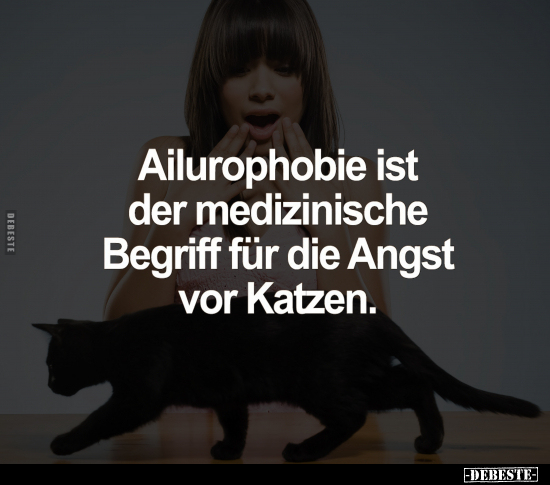 Ailurophobie ist der medizinische Begriff.. - Lustige Bilder | DEBESTE.de
