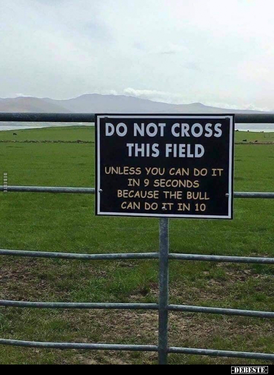  - Lustige Bilder | DEBESTE.de