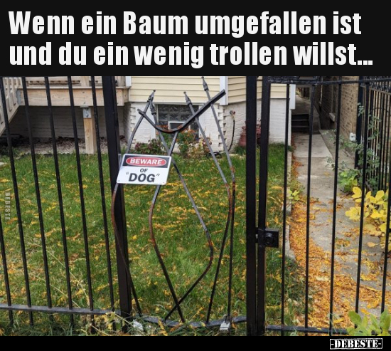 Wenn ein Baum umgefallen ist und du ein wenig trollen.. - Lustige Bilder | DEBESTE.de