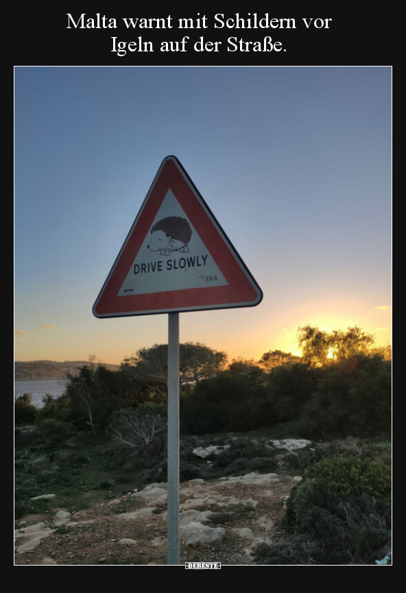 Malta warnt mit Schildern vor Igeln auf der Straße... - Lustige Bilder | DEBESTE.de