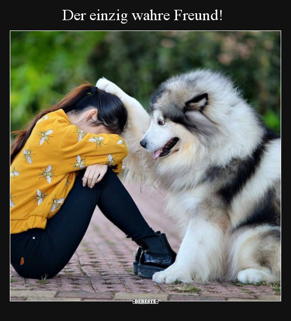 Der einzig wahre Freund!..
