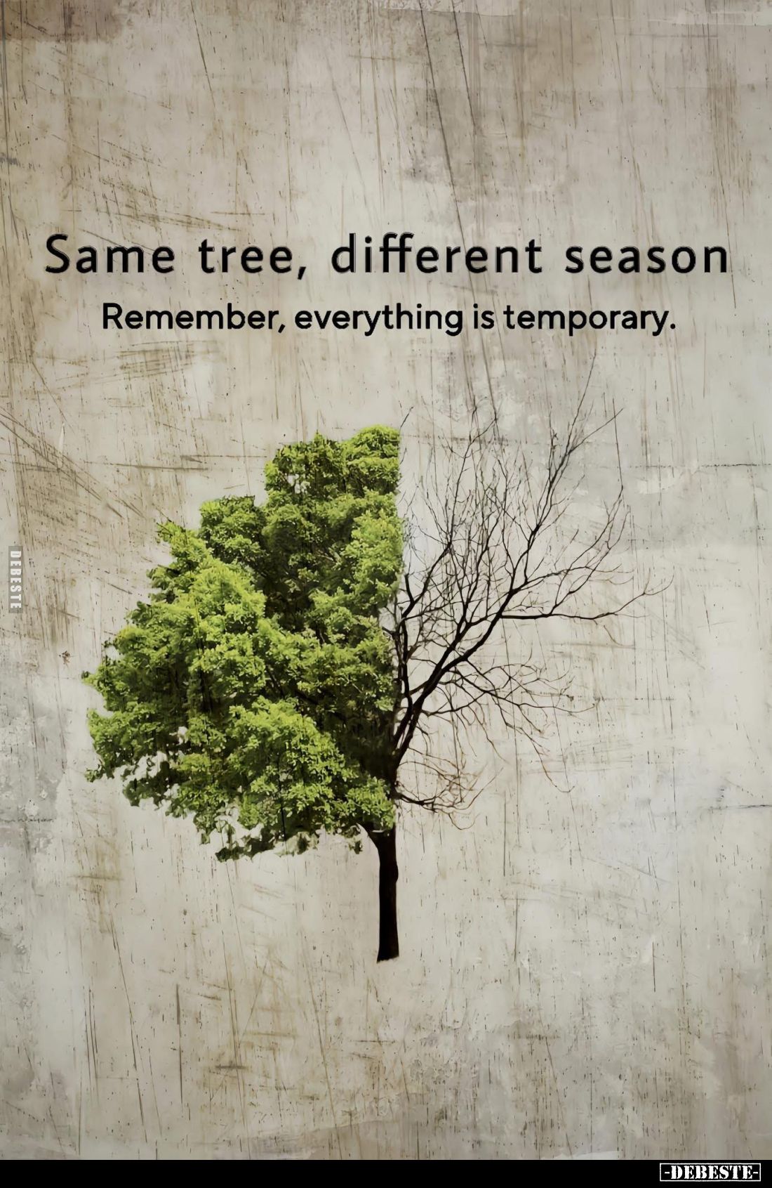 Same tree, different season.
Remember, everything is temporary.